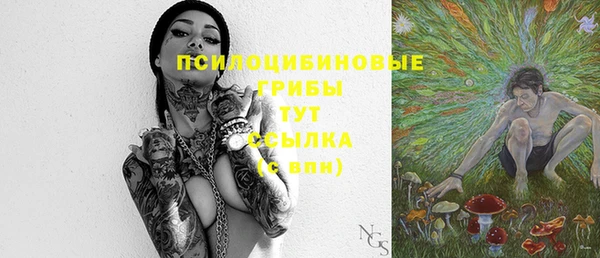 героин Алексин