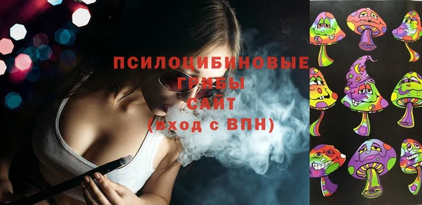 героин Алексин