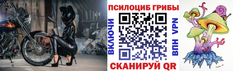 Галлюциногенные грибы мицелий блэк спрут tor Закаменск