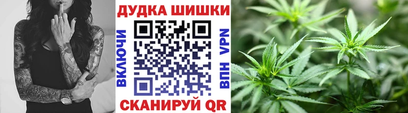 кракен сайт  Закаменск  Каннабис план  где найти наркотики 